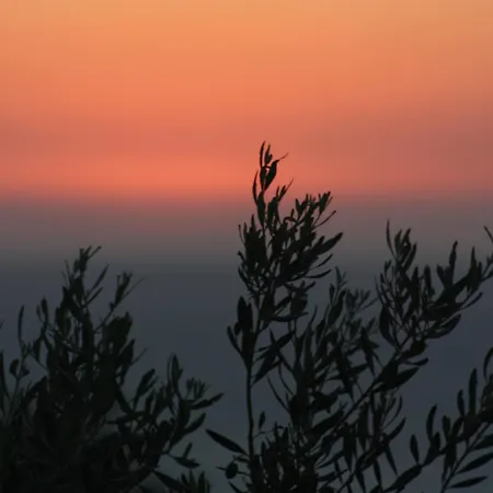 Ocean Luxury Penthouse Apartament