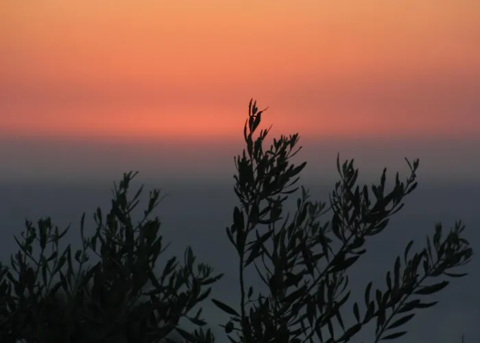 Ocean Luxury Penthouse Daire